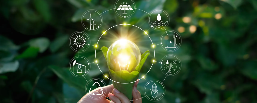 Building a Greener Future: Innovations in Renewable Energy and Sustainable Tech